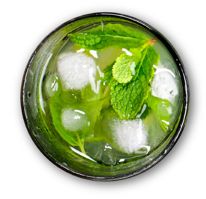 menta-libre